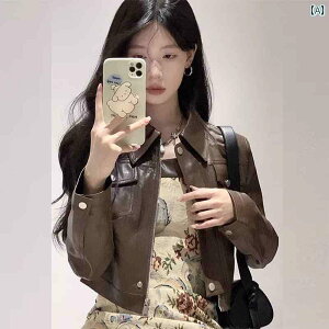 fB[X C_[X WPbg uE V[g PU U[WPbg fB[XWPbg 2025 zbg C[h EFA oCN v`