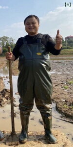 EF[_[ C tBbVO  ]   n[t  EH[^[ pc s[X h tBbV U[ tH[N EF[fBO tBbVO X[c V[Y