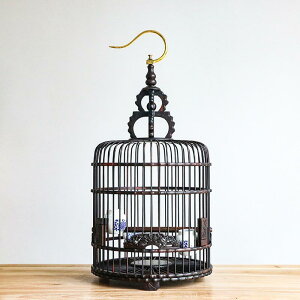  {bNX  [YEbh cO~   |   IE Nh hJ AJVA nbJ ی^ ^