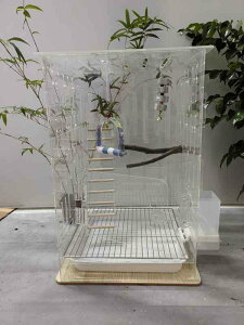 ������ �{�b�N�X ���� �� �� �h�~ �g���C �t���� �A�N������ ���� ������ ��^ �I�E�� �P�[�W �� ���� �� �� ���O�� �� �P���� �p�m���}�r���[