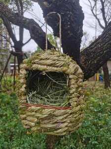  {bNX   傫     Nh ㊯ VNN IJCR ZLZCCR X ``