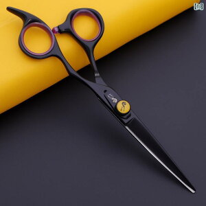 Up nT~  pCv v  ͂ Zbg et tbg VU[ O Jbg   