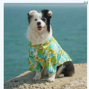 ^p  EFA ybg p ^  ^ ėp r[` X^C Vc y ʋC  S[fgo[ uh[ {[_[R[p AEghAEFA