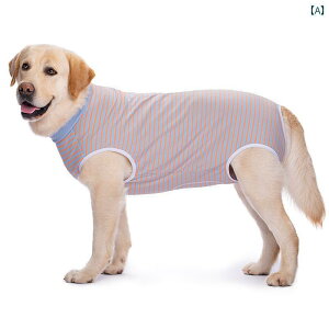 ^p  EFA ^ p   p  S[fgo[ uh[  ی ŋ r h~ l  xXg ^