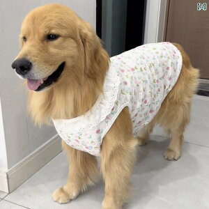 ^p  EFA ^   p ėp  ʋC  vZX X^C  h~ AXJ xXg