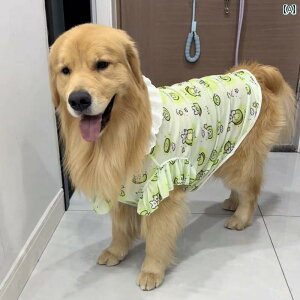 ^p  EFA ^  ^ p ėp  bV h Ăh~ S[fgo[  XJ[g vZX X^C 2025