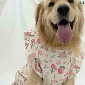 ^p  EFA ybg   uh[ TGh XJ[g S[fgo[ {[_[R[ xXg ^