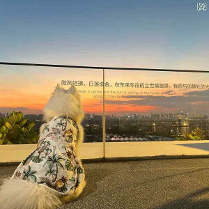 ^p  EFA ybg ^  hX ^    TGh S[fgo[ uh[ nCA  h~