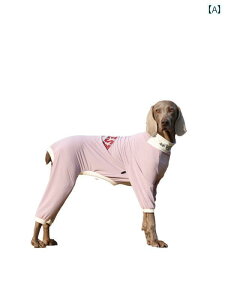 ^   UPF 50 Ăh~  ^ p {[_[R[ S[fgo[ l p  ybgp ⊴  h~