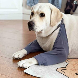 ^   ^ p G pbh ی Jo[ uh[ S[fgo[p I ֐ ⊴ ϖ Jo[O r ėp