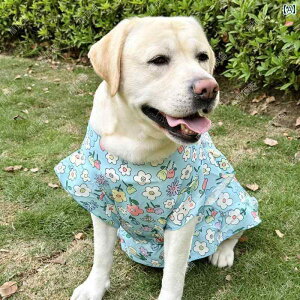 ^   ybg   S[fgo[ uh[ TGh {[_[R[ ^ rbOhbO    h~ 