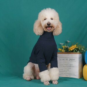 ^   ^   H~ ybg Z[^[ CO Vc uh[ S[fgo[ {[_[R[ 