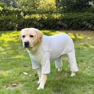 ^     H  l  S[fgo[ uh[ ^ ^ ybg  h~