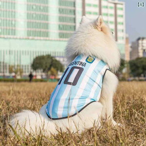 ^   ybg   tĕ S[fgo[ ^ ^ ^ nXL[ TGh xXg 