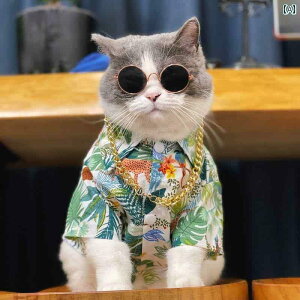 ^    Vc   efB q  L  h~ ^ S[fgo[ F Gn