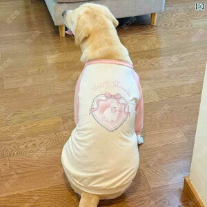 ^     ^ t@bV uh[ tH  S[fgo[