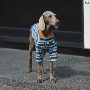 ^     ^   XgCv TVc S[fgo[ uh[  h~ ybg