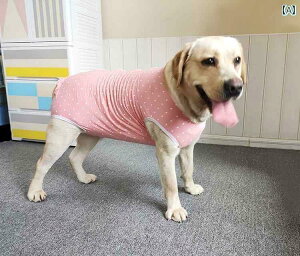 ^   ^ ^ p WvX[c  pc   p 点 h~ D    