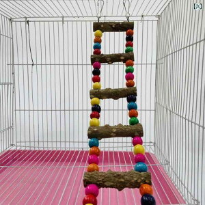   IE ݂苴 ͂   glR ؐ oRp  Jt uR   pi