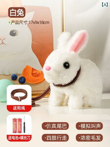  ʂ 킢 qp d oj[ ʂ ̎qp ybg   ETM l`  ̎q q  Mtg