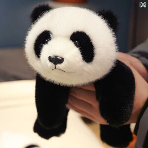  ʂ 킢 pp p_ l` V~[V s WCAgp_  ʂ ̎q   \tg