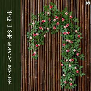 AeB[N Ǐ CAEg V~[V o  tFCNt[ ^ GAR pCv V   ܂ꂽ vX`bN  Jo[