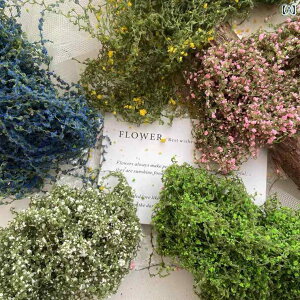 AeB[N Ǐ CAEg junkjournal V~[V }CN hXP[v   m[g ubN ₷