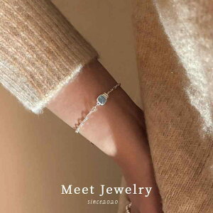 Vo[ uXbg fB[X MEET ANA } X^[ O Vo[ uXbg fB[X 2025V  I l w p[eB[ d Â WG[