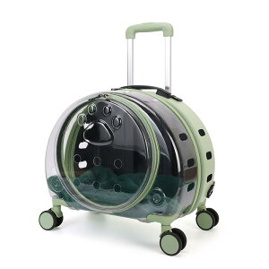 sp ybgobO Lp obO |[^u ybgp g[P[X 莝   F JvZ sp g[ p X[c P[X