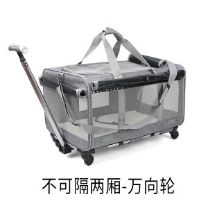 sp ybgobO Ostracod ybg g[ L obO AEg |[^u X[c P[X 2C ^ J[g 