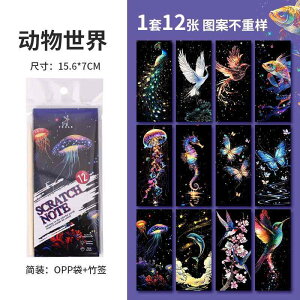 XNb`    i Jt XNb` yCeBO m[g qp DIY OtBeB  ʂ肦 hG 