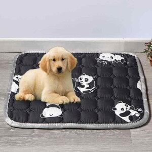 ybg}bg ~ g ybg }bg  ~ p Lp J[ ETMP[W   uPbg