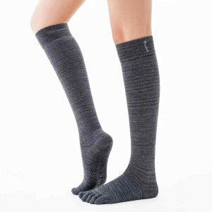 K\bNX Sugaroff seBX K \bNX O p nCJbg ~ 5{ w g  tBbglX