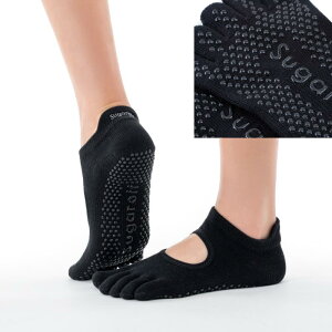 K\bNX Sugaroff seBX K 5{ w \bNX v ɂ fB[X  tBbglX t X|[c k[h V[Y