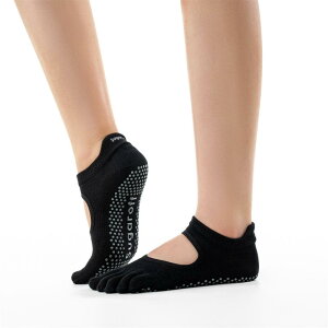 K\bNX Sugaroff seBX \bNX v ɂ fB[X 5{ w  _X X|[c k[h V[Y K