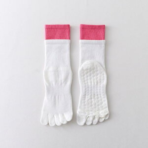 K\bNX ܐ悪 ꂽ p ~h 5{ w K \bNX seBX v dl ~ t  X|[ctBbglX _X