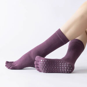 K\bNX K \bNX ~ v dl fB[X 5{ w  tA lp seBX