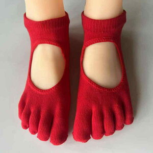 K\bNX toesox seBXK \bNX 5{ w hbg fB[X ܐ ~ tA _X g[jO