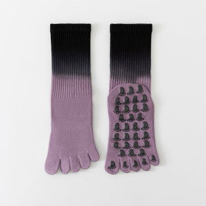 K\bNX 5{ w K \bNX ~ v p Xvbg gD seBX XyV ~fBA   X|[c g[jO ^