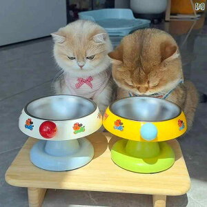 Lp{E Lp {E t[h EH[^[   ی XeX p |ɂ ybgp