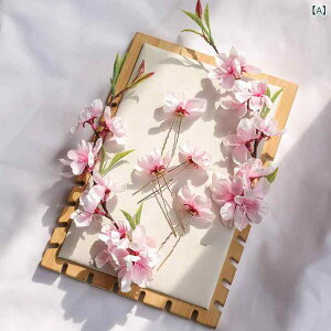 �\ �� �Ԃ� ���� �w�A �A�N�Z�T���[ �s���N�� �s�� ������ �� �X�[�p�[�t�F�A���[�V���N�t�����[�� ������ ���g���A�N�Z�T���[