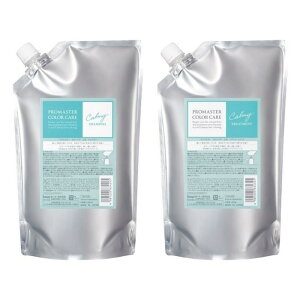 yIׂ4ށzz[[ v}X^[ J[PA Vv[g[gg lւZbg 1000mL{1000g [X^CbV/b`/J[~[/XEB[eBA] wAJ[ PA _[WC 