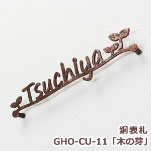 @\Dyz\D@GHO-CU-11u؂̉vЂ傤yGHO\DzyyVlC\Dz