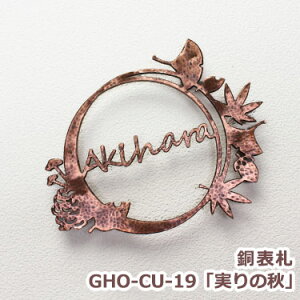 @\Dyz\D@GHO-CU-19ȕHvЂ傤yGHO\DzyyVlC\Dz