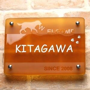 \D KXyzKX\D`245ZsAiʃtXgjЂ傤yGHO\DzyyMt_zyyVlC\Dz@ˌā@@LO@`