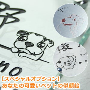 IvVȂ̉ybg̎G\DyGHO\Dz