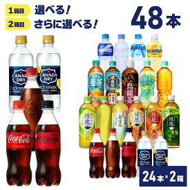 【スーパーセール中ポイント5倍】ソフトドリンク 対象商品から 選べる 2箱 500ml × 24本 × 2箱 【送料無料】