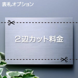 y\Dpǉ z XeX\D 2ӃJbg