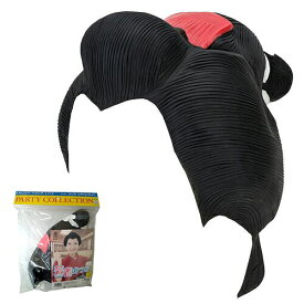 【1点までメール便も可能】芸者カツラ（かんざしの色：赤）　　[芸者 かつら 時代劇 町娘 カツラ おはなちゃん 女装 老人会 イベント 町内会 演劇 文化祭 パーティーグッズ 仮装 コスプレ]【C-0158_534793】