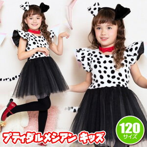 veB_VA LbY 120 [_VA ߑ qp nEB ߑ  RXv qp 킢  ǂԂ ̎q Cxg  eqR[f]y_886211z